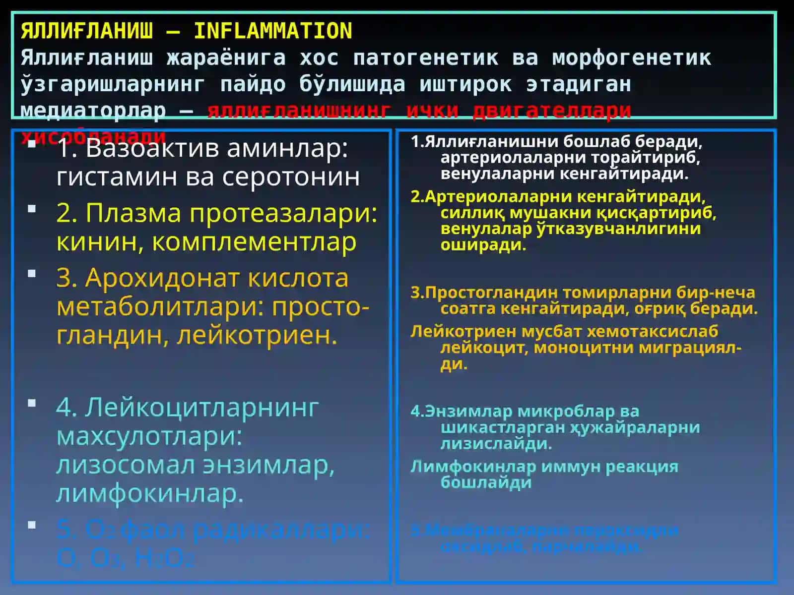 Яллиғланиш 4