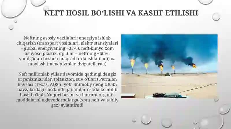 Oilavauningasosiyfunksiyalari 4