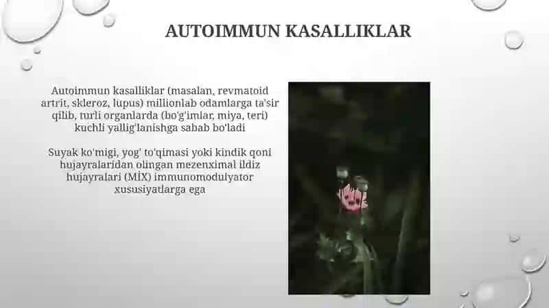 Poyali hujayra terapiyalari 4