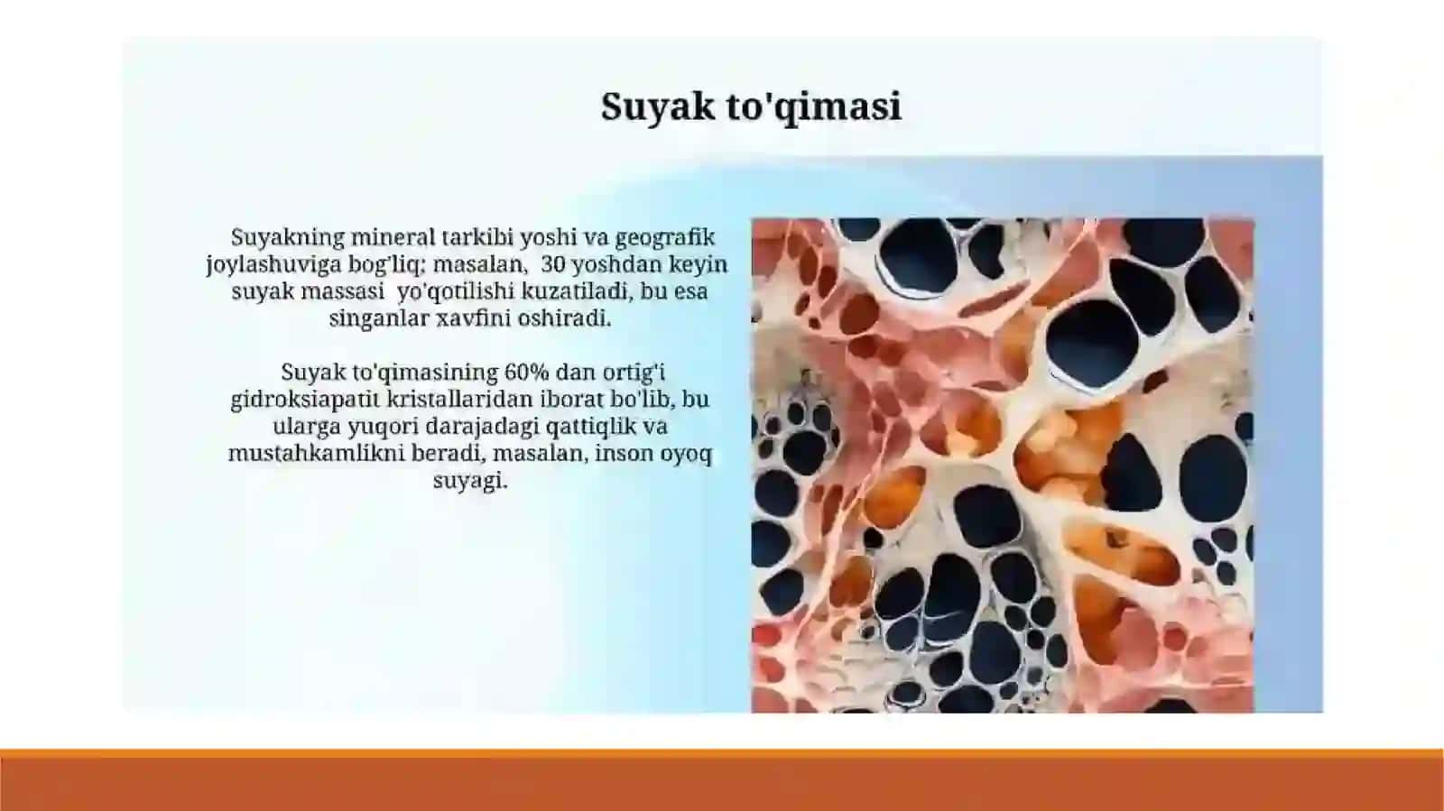 SUYAK VA TOG'AY TO'QIMASI 4