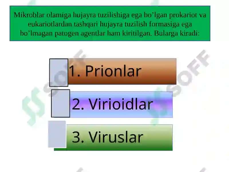 Virusologiya 4