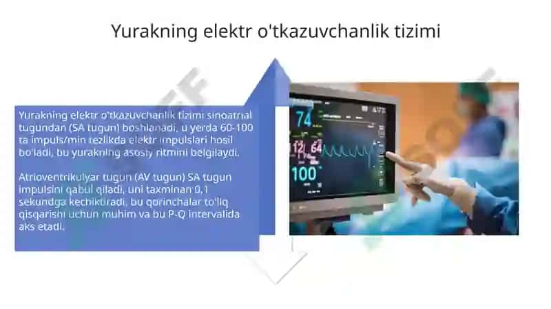 Elektrokardiografiya 4