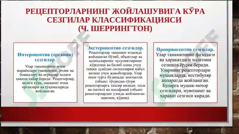 Сезгилар клаcсификацияси 4
