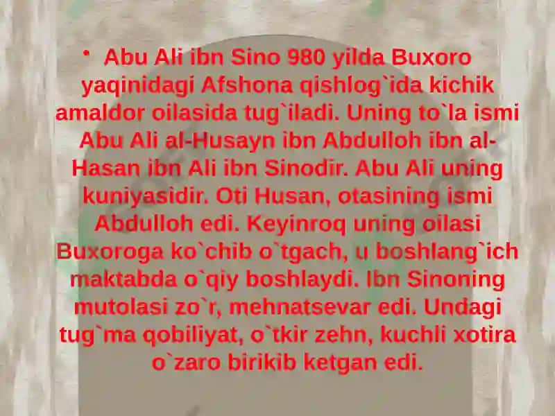 Abu Ali Ibn Sino 4
