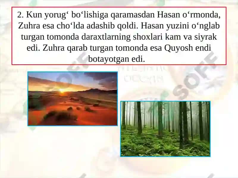AMALIY MA SHG‘ULOT 4