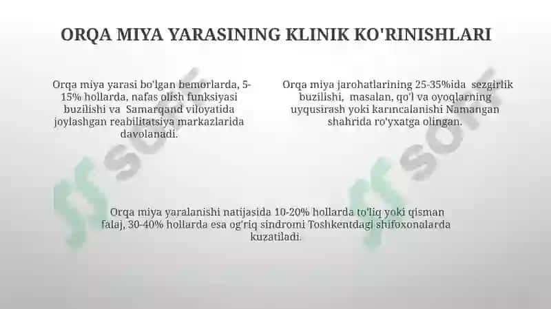 Orqa miya anatomiyasi 4