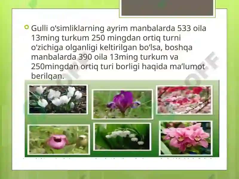 Gulli O'simliklar 4