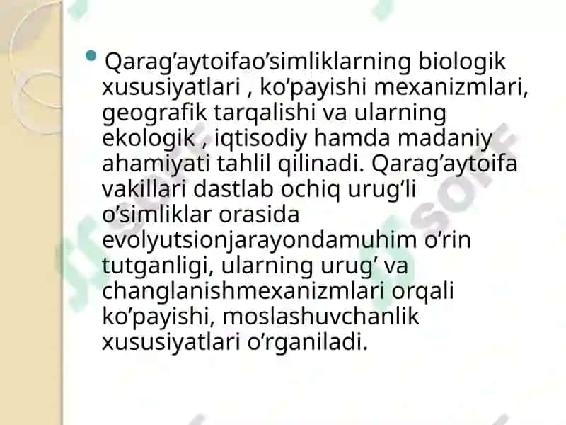 Qarag’aytoifa 4