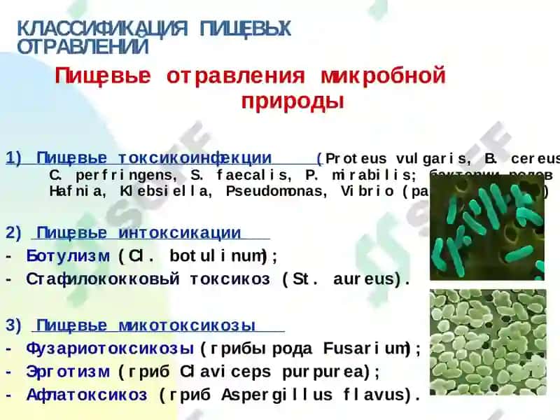 Пищевые отравления и их профилактика 4