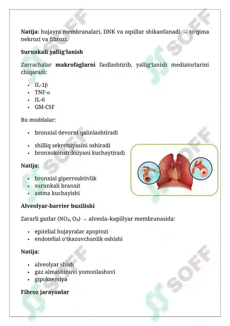 Havo ifloslanishining o‘pka patofiziologiyasidagi 4