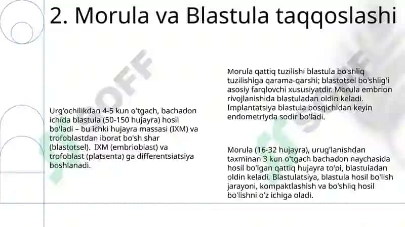 Morulla va Blastula 4