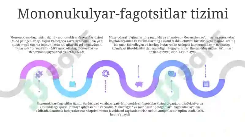 Mezenximaning Tuzilishi Va Ahamiyati 4