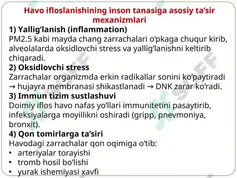 Havo ifloslanishining inson organizmiga ta'siri 4