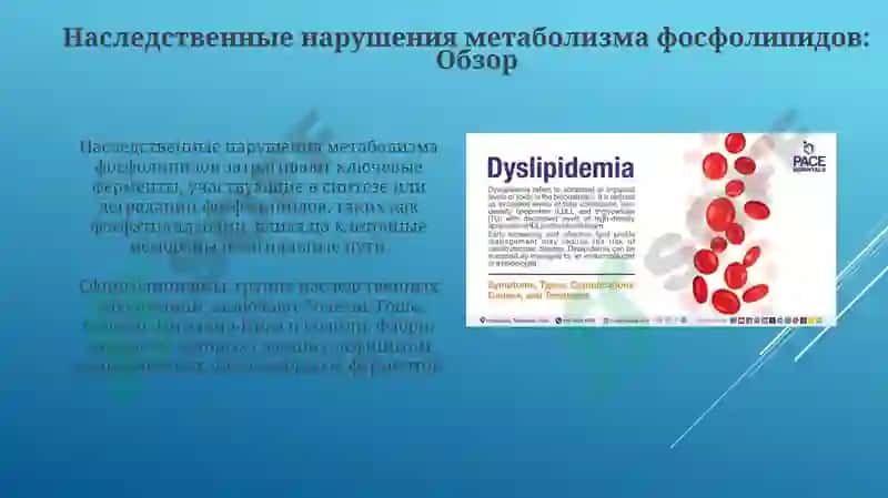 Нарушения обмена фосфолипидов 4