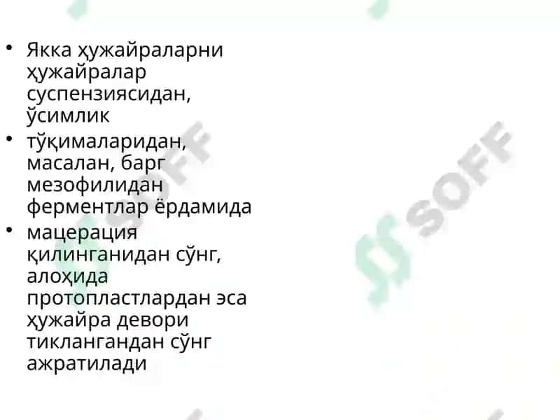 Якка ҳужайралар культураси 4
