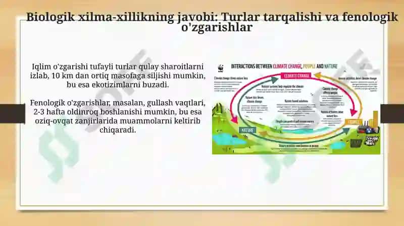 The effects of climate change on biodiversity 4