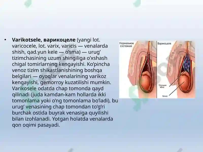 ERKAKLAR TANOSIL A`ZOLARI, AYOLLAR TANOSIL A`ZOLARI 4