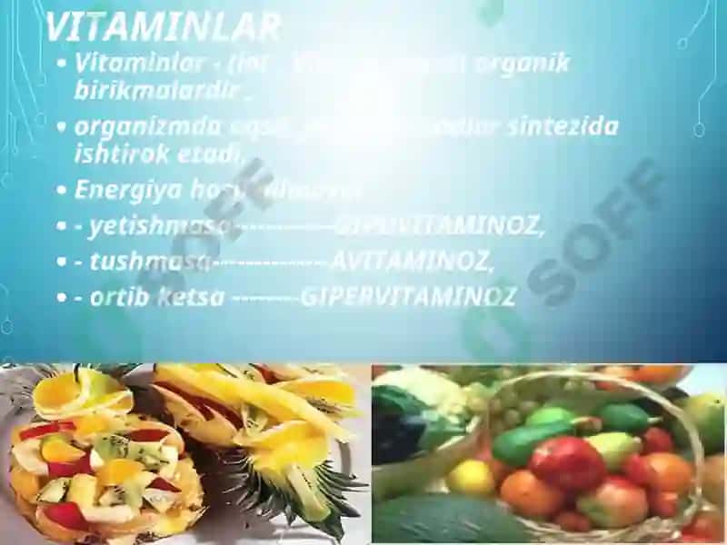 Vitaminlar va kofermentlar 4