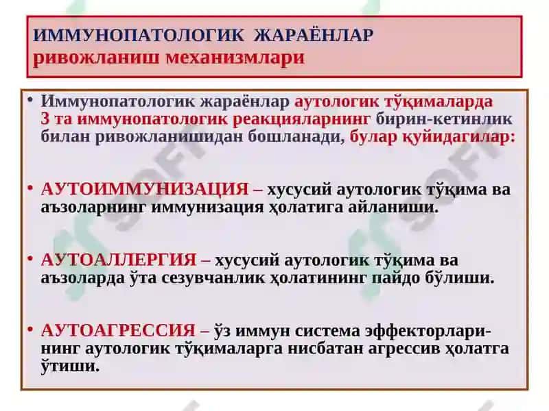 IMMUN HIMOYA REAKSIYALARINING MORFOLOGIK ASOSLARI 4
