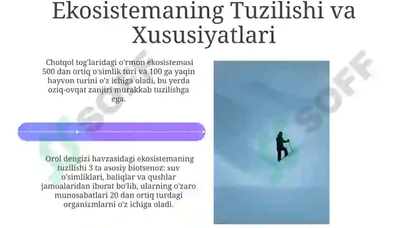 Biotsenozlar va Ekosistemalar 4
