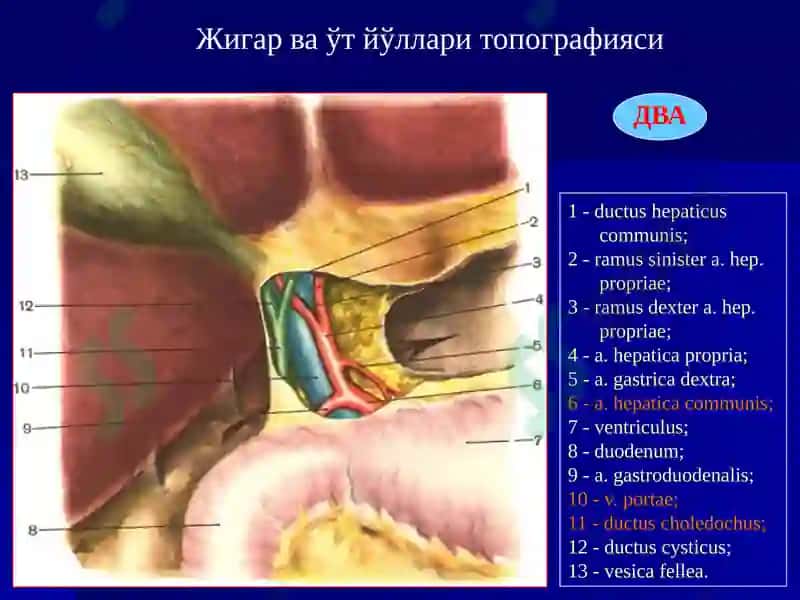 Ўткир Холецистит ва унинг асоратлари 4