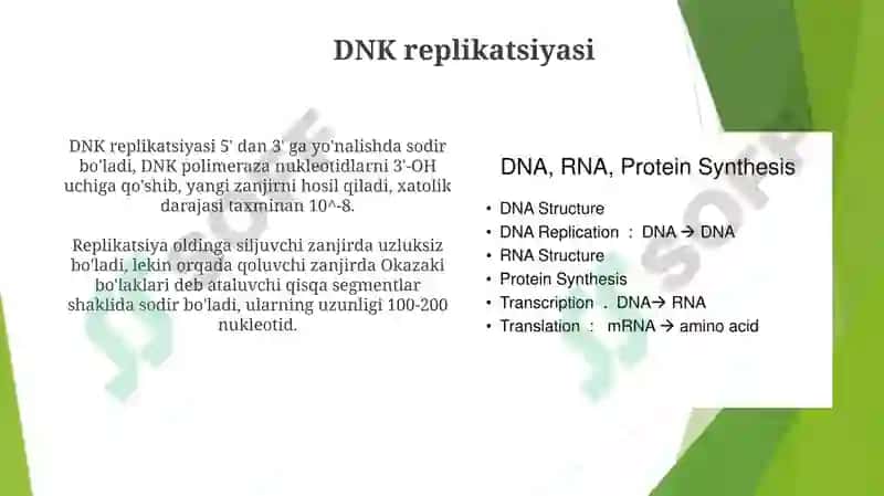 DNKstrukturasivareplikatsiyasi 4