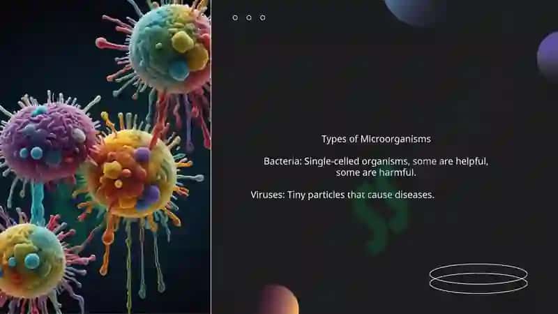 Microorganisms 4