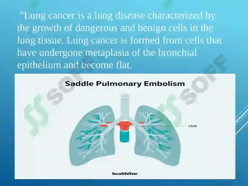 Lungs and a Pulmonary System 4