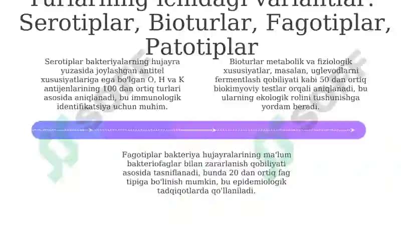Bakteriyalarking klassifikatsiyasi 4