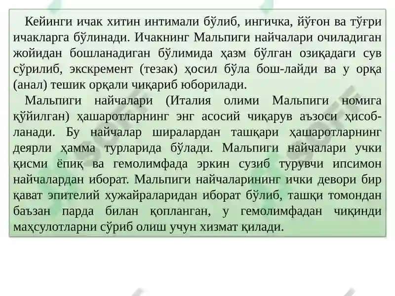 Ҳашаротларнинг овқат ҳазм қилиш тизими 4