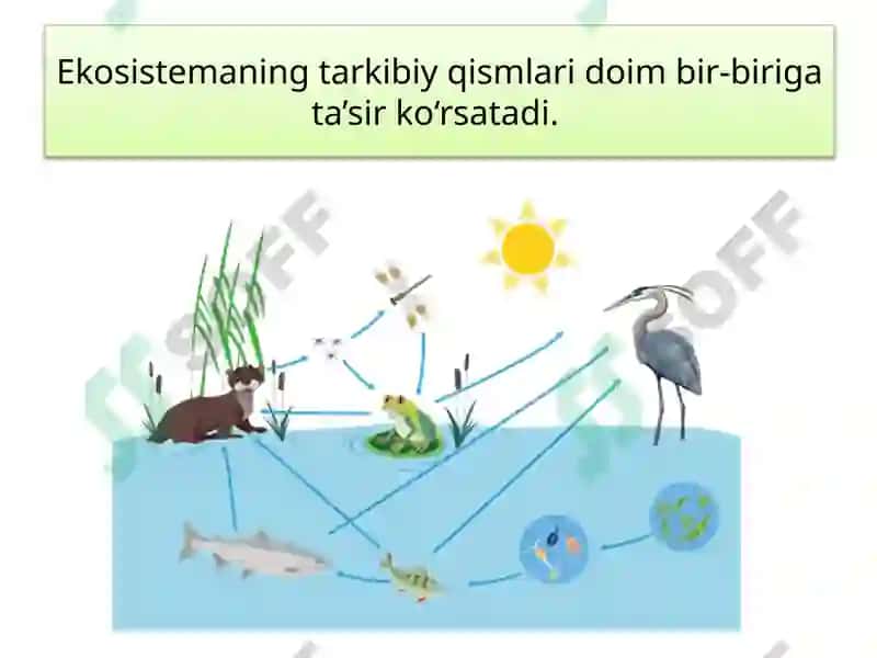 Ekosistemalardagi o‘zaromunosabatlar 4