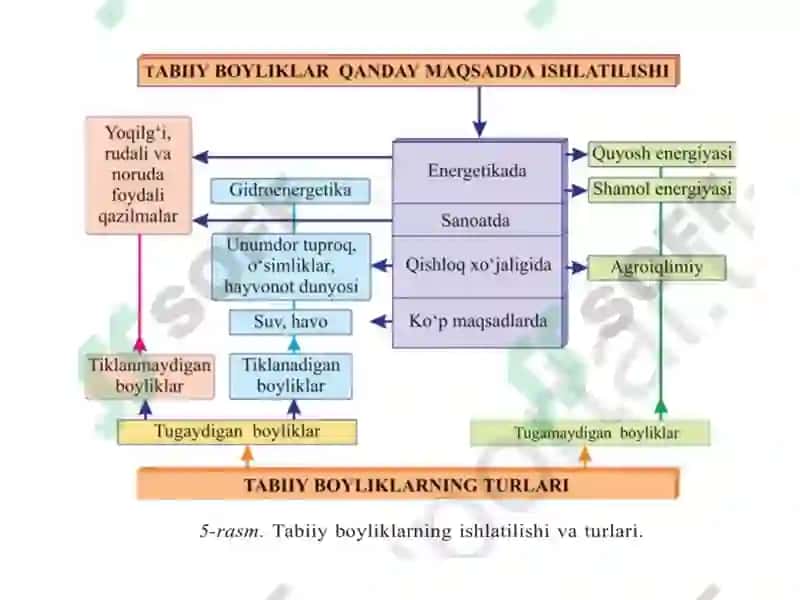 O‘zbekistonning tabiiy sharoiti va tabiiy resurslar 4