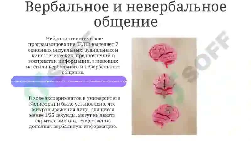 Головной мозг. Стили речи 4