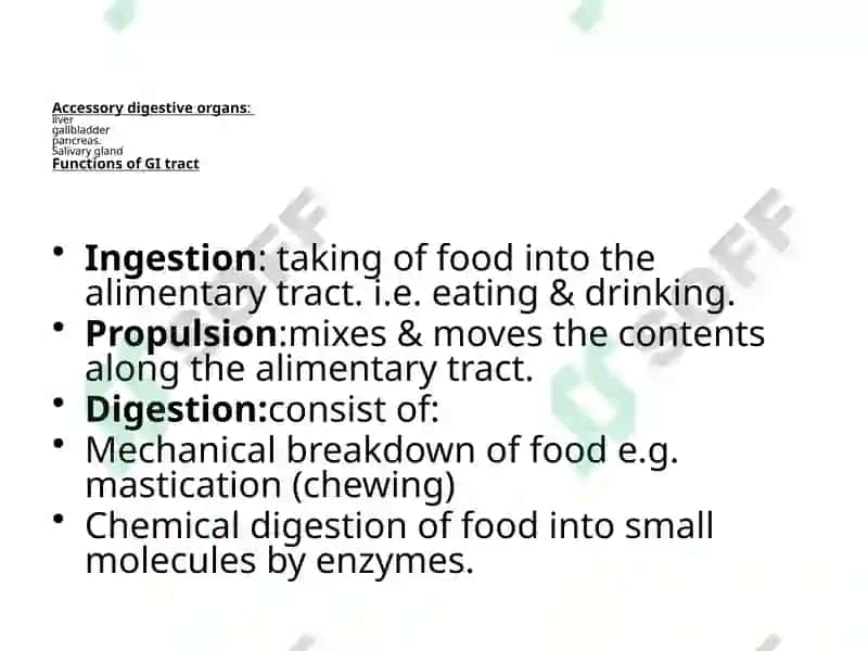 Functions of the digestive treatment 4