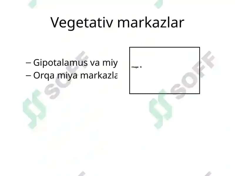 Vegetativ nerv sistemasi 4