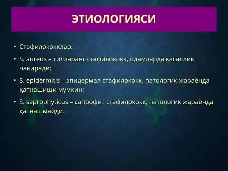 Терининг йирингли касалликлари-пиодермитлар 4