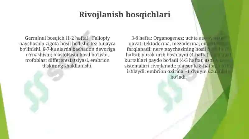 Yer taraqqiyotining umumiy xususiyatlari 4