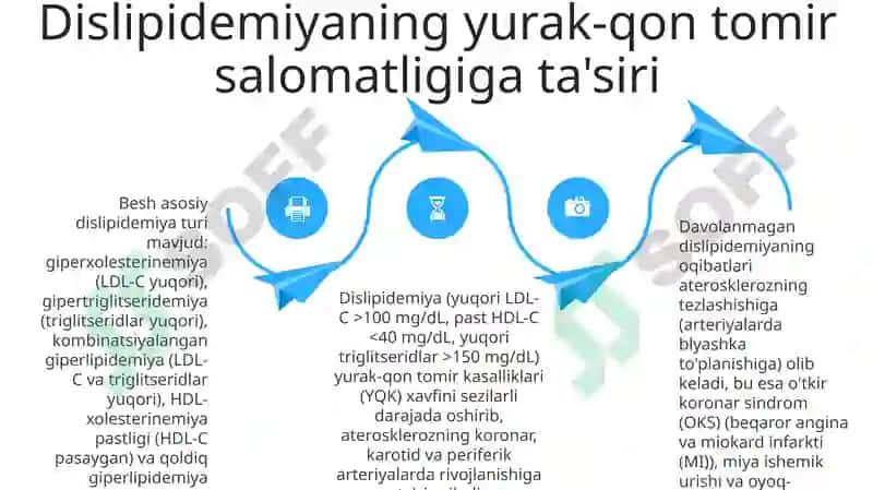 Dislipoproteinemiya turlari 4