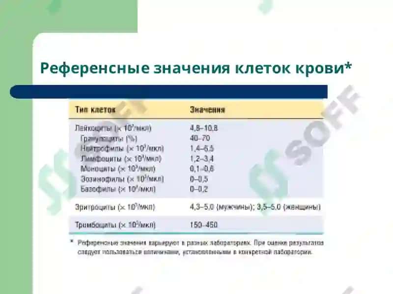 Патофизиология крови 4