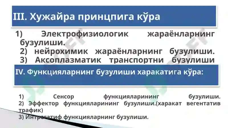 Nerv tizimi patofiIologiyasi I 4