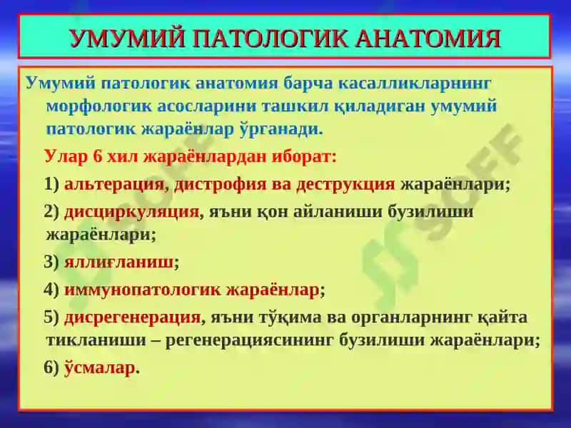 ПАТОЛОГИК АНАТОМИЯ 4