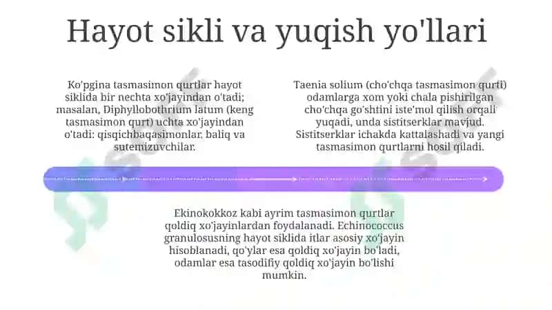 Tasmasimon chuvalchanglar 4