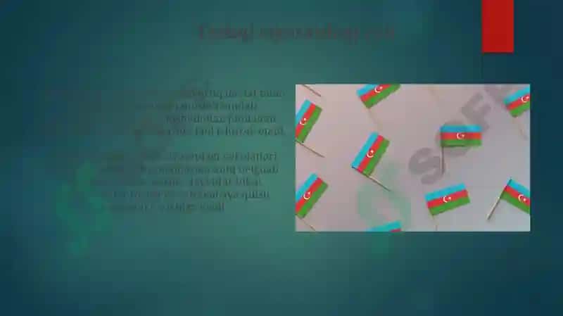 Prezidentning Vakolatlari va Vazifalari 4