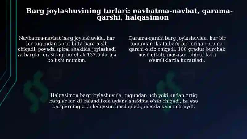 Oʻsimliklarning barg joylashishini tahlil qilish 4