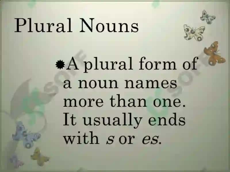 Plural of Nouns 4