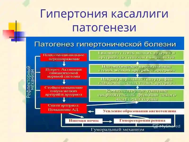 Бирламчи касалликлар ва ЮИК 4