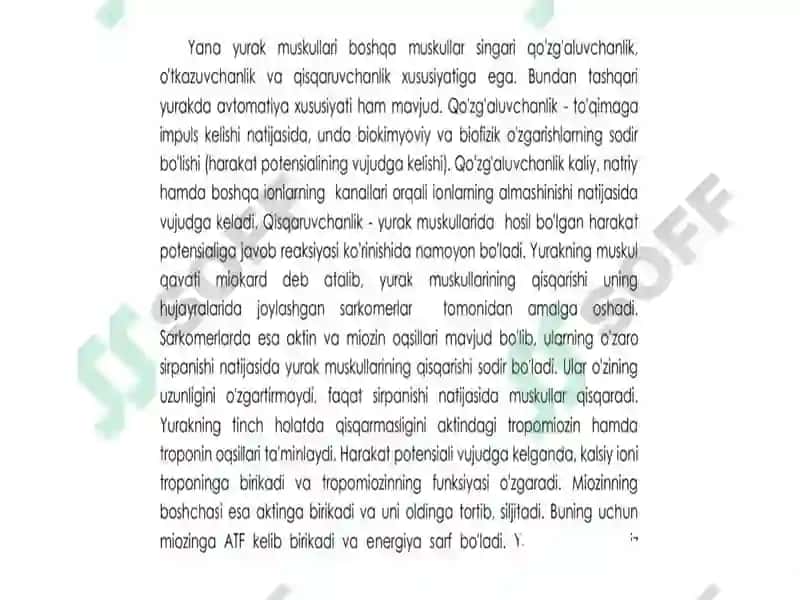 Yurak mushaklari tuzilishi 4