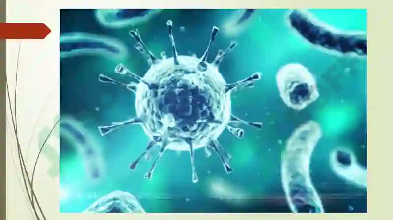 Ebola, Lassa, Zika viruslari, kasallik patogenizi, laborator tashhisi 4
