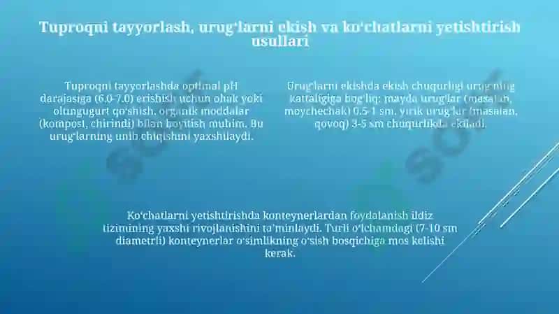 Dorivor oʻsimliklarni uugʻchiligi va koʻchatchilgi 4