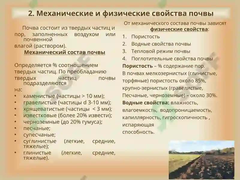 Гигиена почвы 4